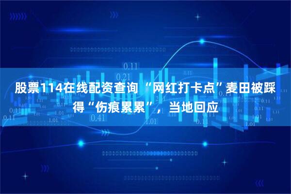 股票114在线配资查询 “网红打卡点”麦田被踩得“伤痕累累”，当地回应